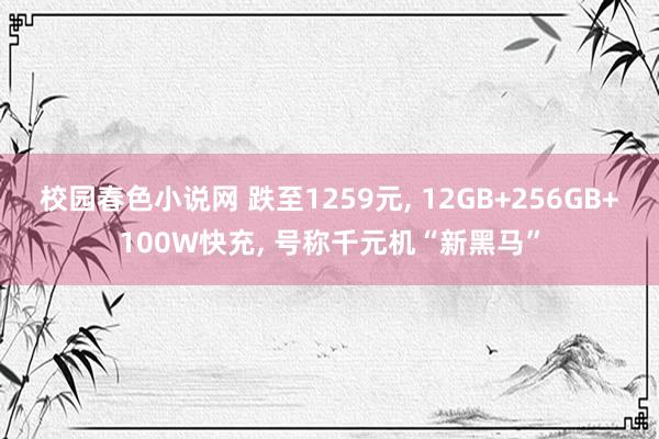校园春色小说网 跌至1259元， 12GB+256GB+100W快充， 号称千元机“新黑马”