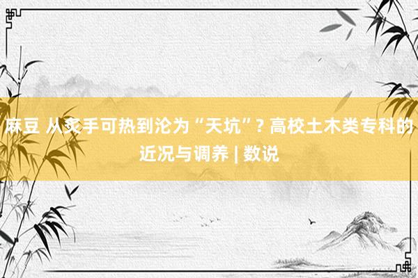 麻豆 从炙手可热到沦为“天坑”? 高校土木类专科的近况与调养 | 数说