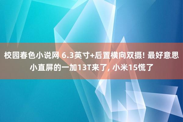 校园春色小说网 6.3英寸+后置横向双摄! 最好意思小直屏的一加13T来了， 小米15慌了