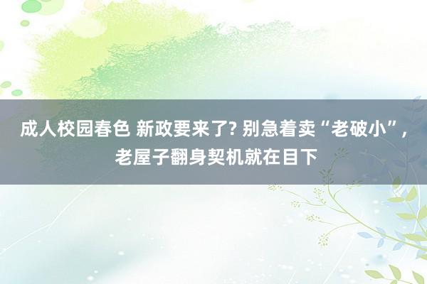 成人校园春色 新政要来了? 别急着卖“老破小”， 老屋子翻身契机就在目下