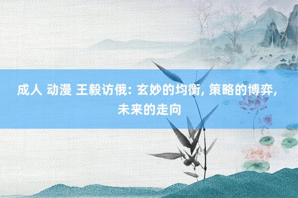 成人 动漫 王毅访俄: 玄妙的均衡， 策略的博弈， 未来的走向